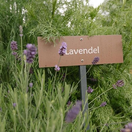 Ferienwohnung Wies Wieserhof Aldino Zewnętrze zdjęcie